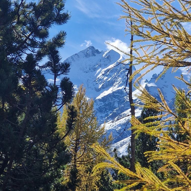 Piz Bernina.