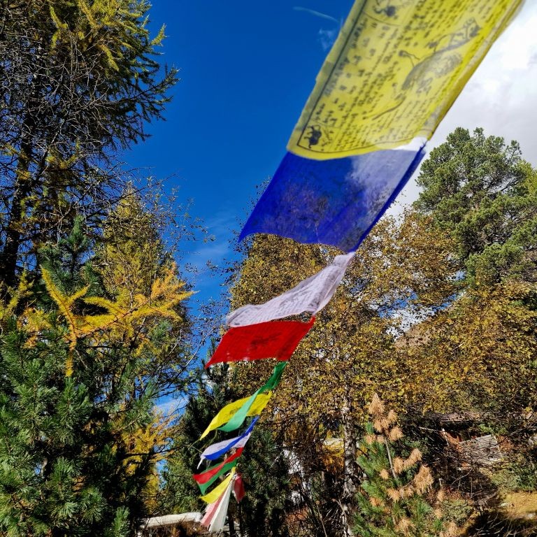 Meine Gebetsfahnen im Wind-