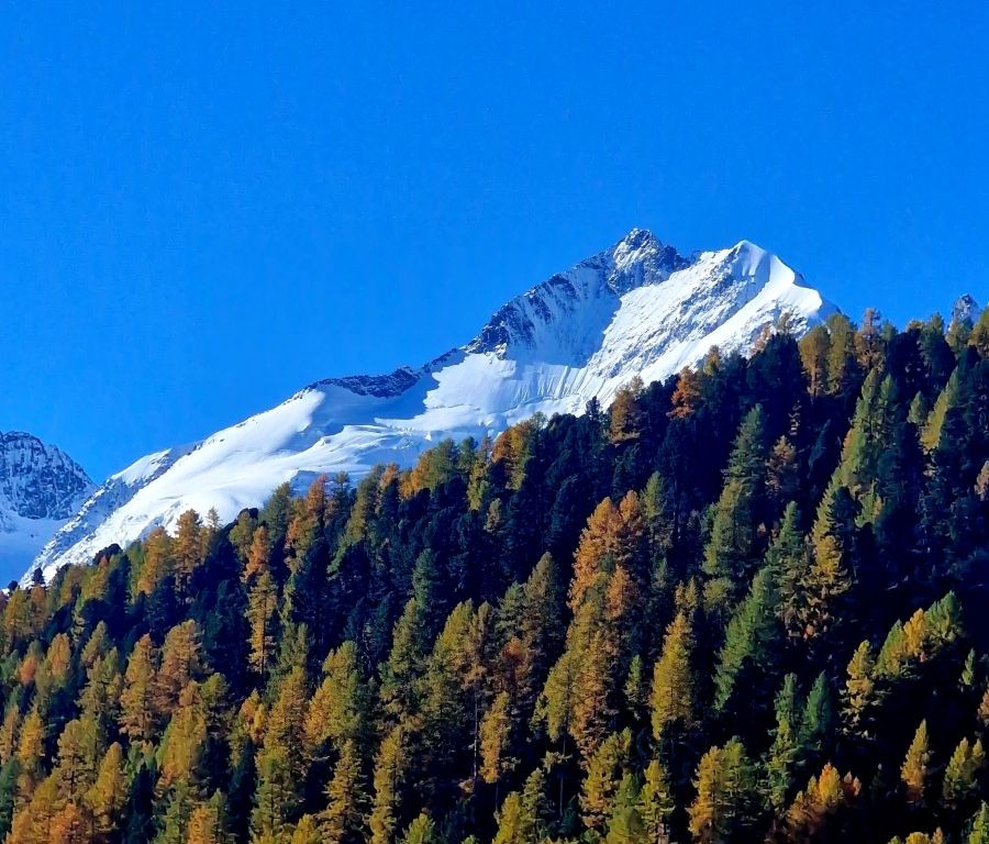 Piz Bernina.