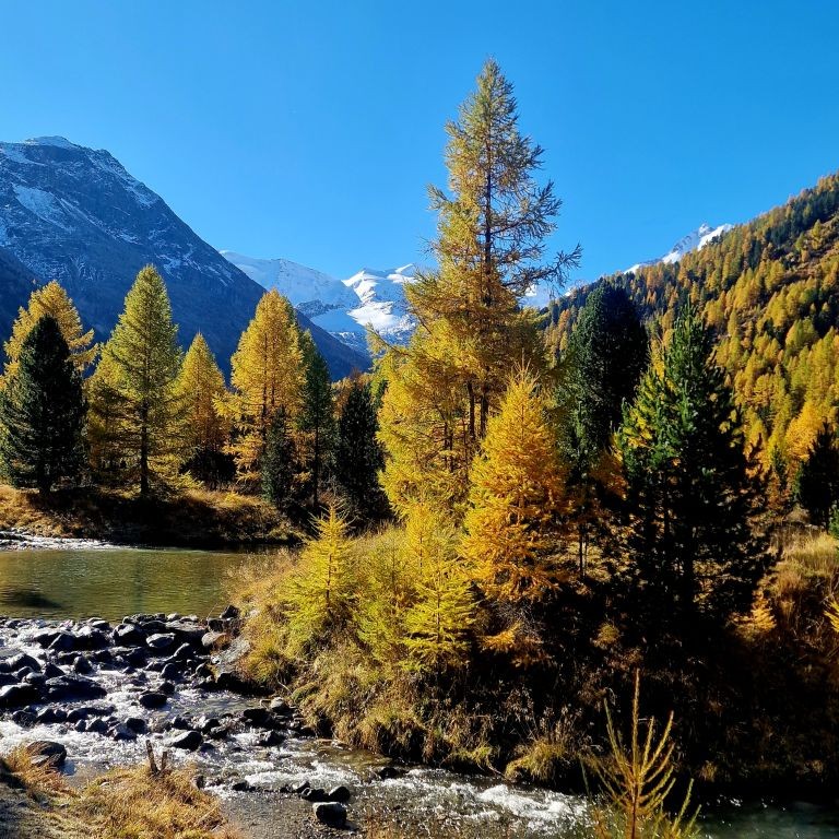 Camping Morteratsch.