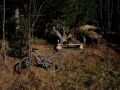 zwischen muotathal und zuerichsee 20111122 1886343996