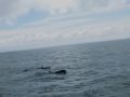 famous ireland 20120704 1664476096