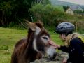 famous ireland 20120704 1881055598