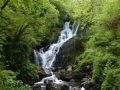 the sunnyside of irland 20130610 1556747941