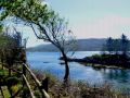 the sunnyside of irland 20130610 1789113917