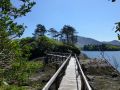 the sunnyside of irland 20130610 1894642864
