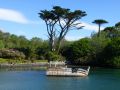 the sunnyside of irland 20130610 2083799452