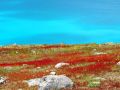 zweite phase 20170304 1810698537