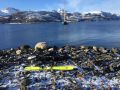 IMG 20180317 WA0018