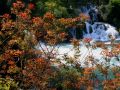 img 5163 60 20110424 1420119650