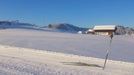 skating 20121214 1805029862